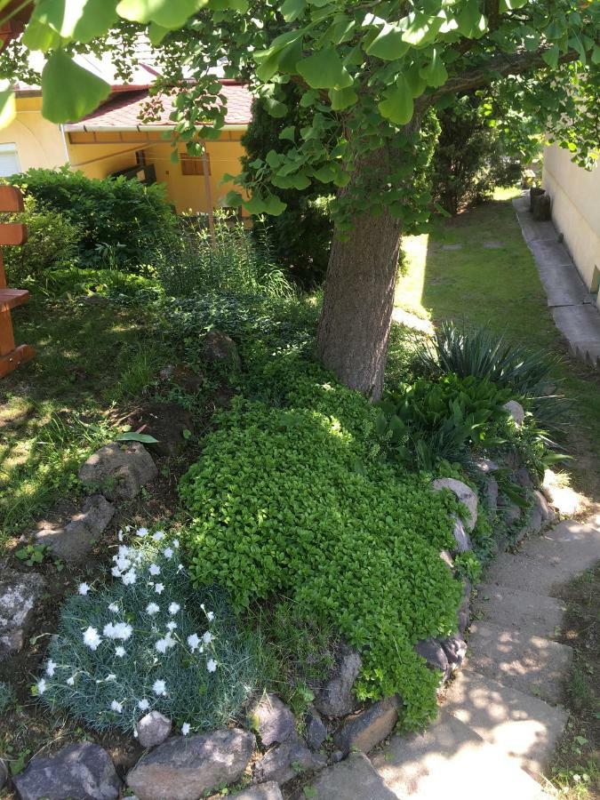 Bogoly Apartman Tokaj Luaran gambar